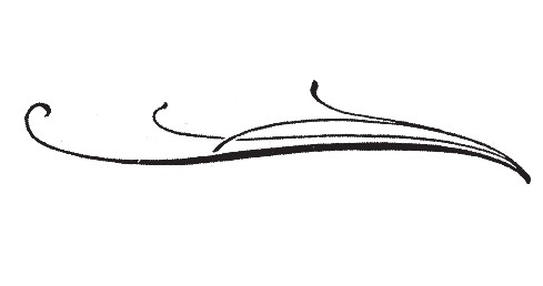 Créateurs de site internet sur Avignon et sa région